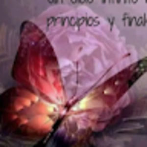 Meet your Posher, Alma